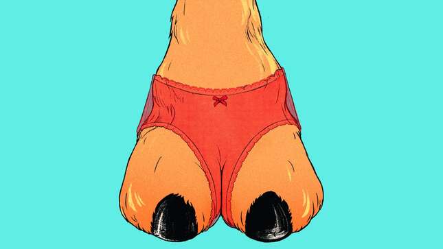 A Brief History of Cameltoe