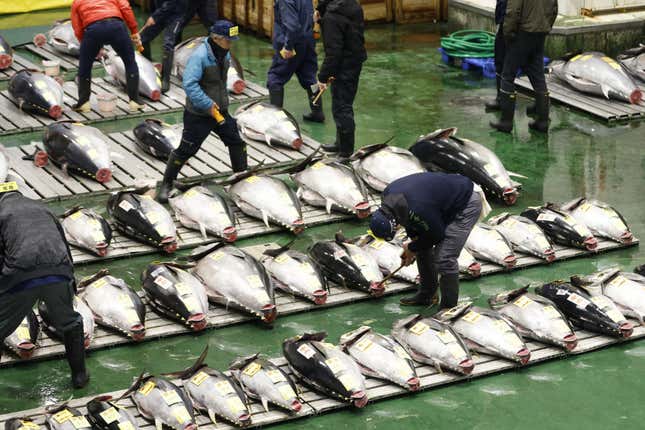 Image for article titled A massive bluefin tuna sold for $1.3 million