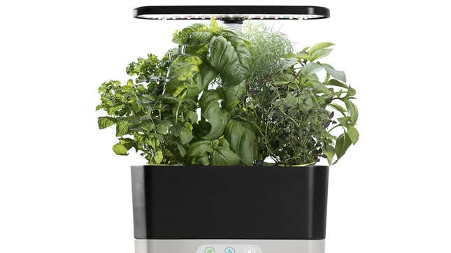 Image for article titled What We Actually Want to Buy on Amazon Prime Day 2