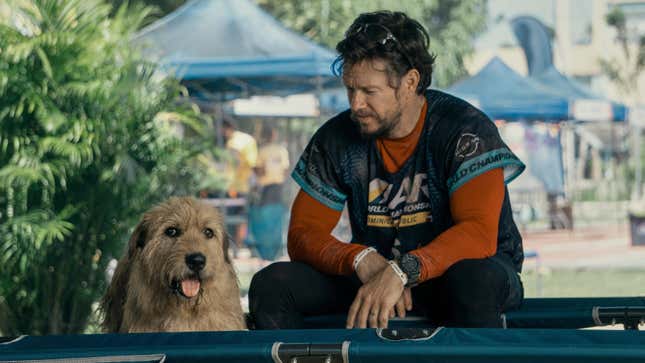<i>Arthur The King</i> review: Mark Wahlberg's dog movie doesn't have much bite