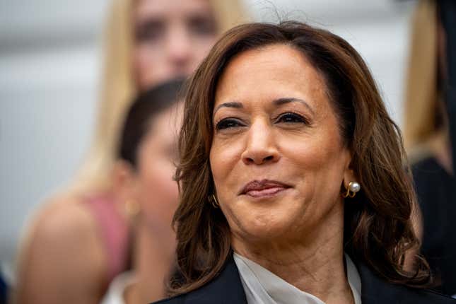 Bild für Artikel mit dem Titel Fox Business-Gast kommt ungeschoren davon, weil er Kamala Harris mit einem vulgären „Hawk Tuah Girl“-Vergleich respektlos behandelte