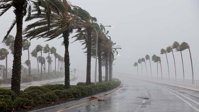 Image for article titled Hurricane Ian Halts Air Travel Over Central Florida