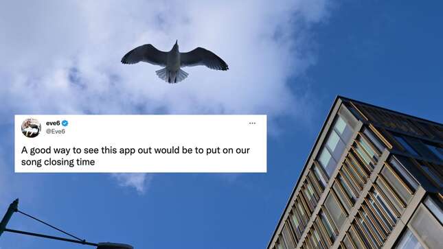 Image for article titled In Memoriam: The Greatest Tweets of All Time