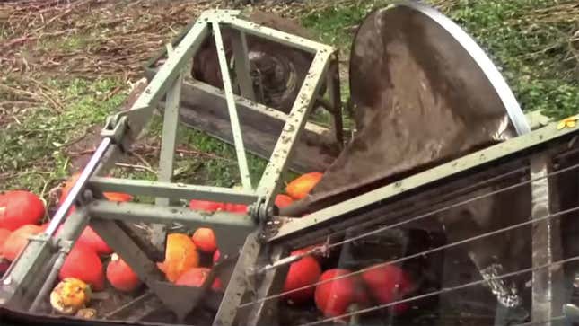 Image for article titled Last Call: How many gourds were crushed for our pumpkin seeds?