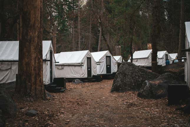 Image for article titled The 7 best jobs for going off the grid