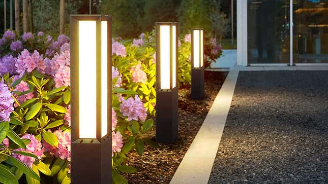 Solar Landscape Path Light | $129 | Amazon