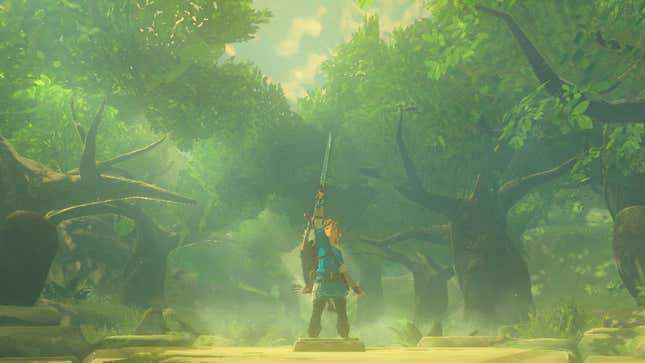 Image for article titled BOTW Fans Find Glitch That Lets You Get Master Sword Early