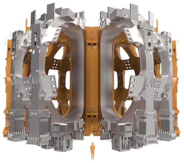 An illustration of a human in front of ITER's toroidal field coils around the tokamak vacuum vessel.