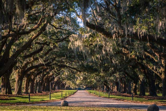 Image for article titled From Nottoway To Monticello,15 Slave Plantations With Brutal Backstories