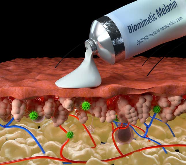 An illustration of how the team’s synthetic melanin works to protect skin. The melanin is intended to suck up harmful free radicals, shown in green, produced by UV radiation and other potentially dangerous exposures.