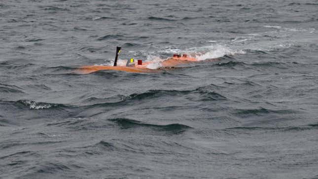 The Ran submersible in water.