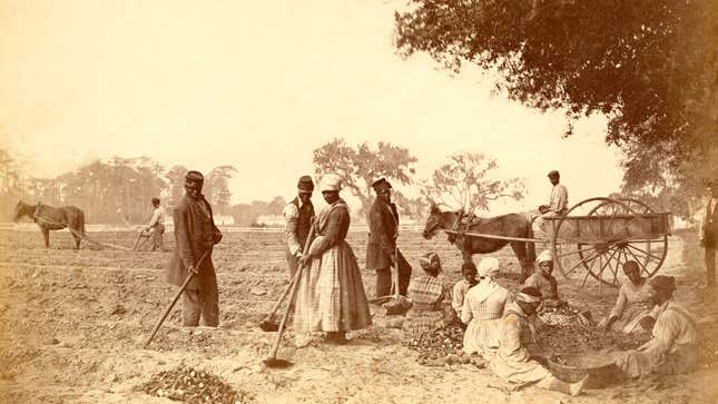 Image for article titled Biggest Benefits Slaves Got From Slavery