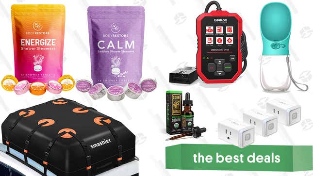 Image for article titled Sunday&#39;s Best Deals: Gooloo Car Scanner, Kasa Smart Plugs, Dog Water Bottle, Car Cargo Rooftop Carriers, and More