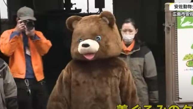 The Asa Zoological Park’s fake bear walking out to the amusement of zoogoers.