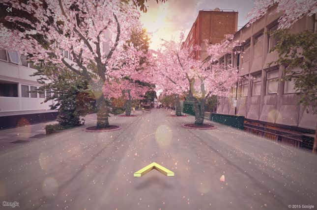 Image for article titled Make cherry blossom trees magically appear in your neighborhood
