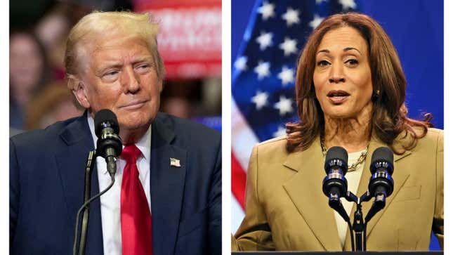 Image for article titled Tennessee Politician Tries To Impeach Kamala, Fox Commentator Accused Of Calling A Black Greek Sorority &#39;Colored,&#39; Donald Trump Pisses Off Black People, The Harris Campaign Is Soundtracked By Beyonce And More