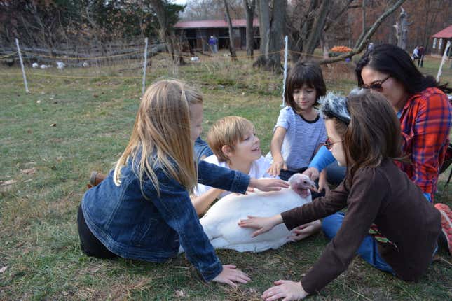 children pet a turkey at the Thanksgiving for the Turkeys event at Poplat Springs Animal Sanctuary
