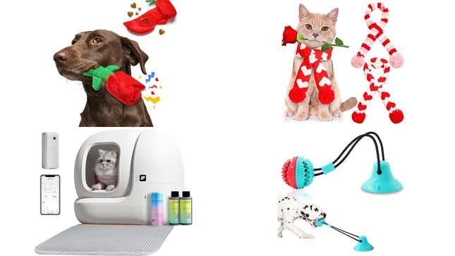 Image for article titled Valentine&#39;s Day Gifts for Dogs &amp; Cats