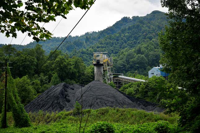 Image for article titled The Race to Zero Emissions: thousands of jobs, millions of trees, billions of dollars