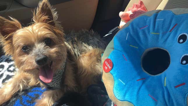 Tyrone promptly destroyed this donut when he got home. He and his mother share a love of donuts.