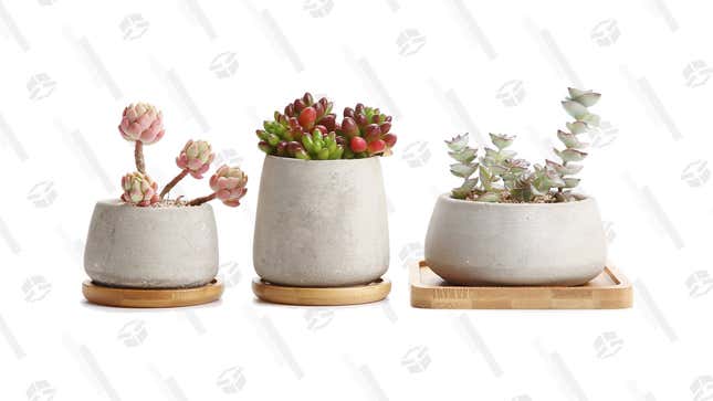Succulent Cactus Pot, Concrete Planter Pot | $12 | Amazon | Code RACCCP01