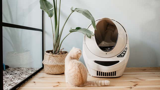 AutoPets Litter-Robot 3 Connect | $499 | Litterbox.com