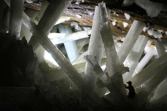 Massive gypsum crystals in the Naica cave.
