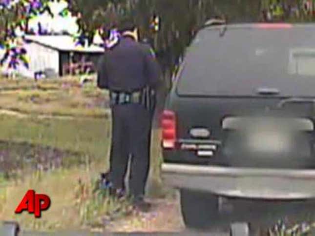 Kitten Will Do Everything It Can to Stop Cop From Writing Ticket