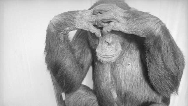 Image for article titled Tell Us About the Most Mortifying Thing You've Ever Done