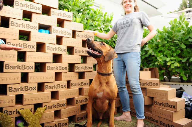 A photo of a woman with a dog in front of a wall of BarkBox boxes