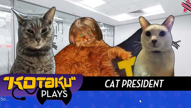 Let's Play <i>Cat President</i>, In Which Pictures Of Cats Run For President