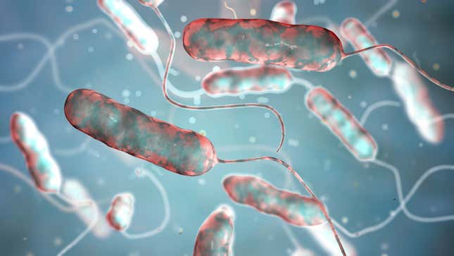 Waterborne Legionnaires Disease Rears Its Head In California 2920
