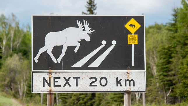 A photo of a black road sign with a moose on it. 