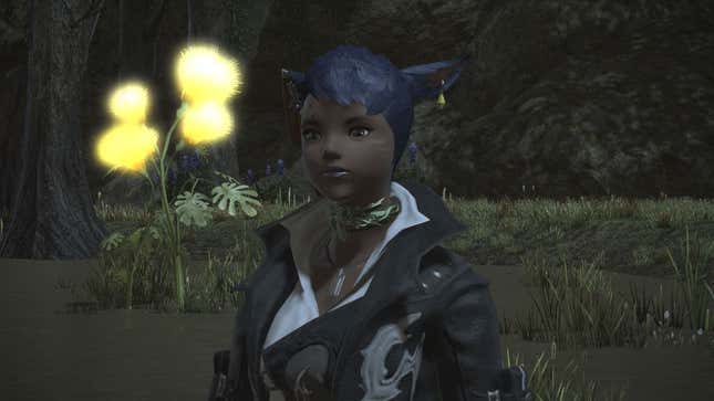 Image of Black Miqo'te looking wistfully into the distance.