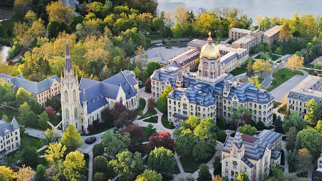 Image for article titled More than a dozen universities have been accused of lowering their standards for rich kids