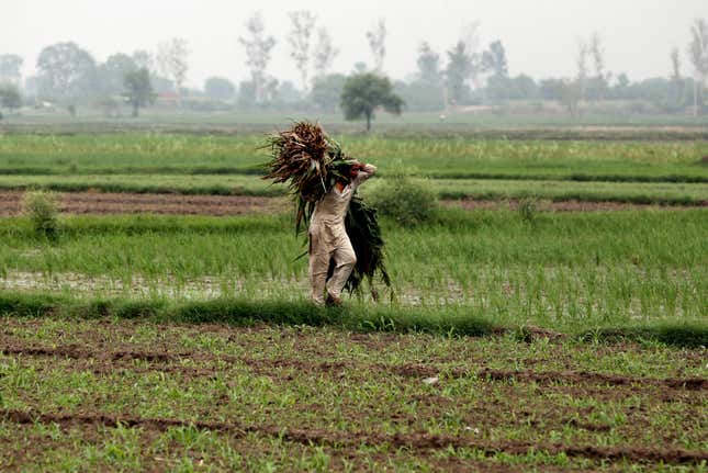 The Indian government could do much more to help people like him become more productive and wealthier.