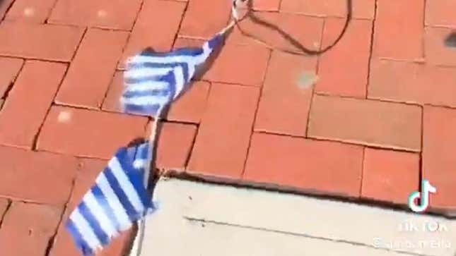 Image de l'article intitulé SMH&amp;#xa0;: une TikTokeuse noire arrêtée après avoir détruit des drapeaux grecs qu’elle pensait israéliens dans un restaurant du New Jersey