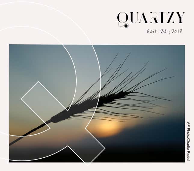 Image for article titled Quartzy: the abundance edition