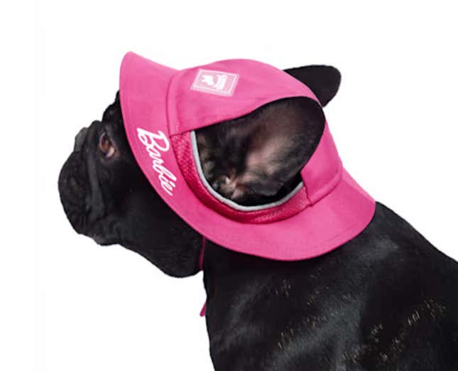 Image for article titled Grab This Fandom Gear for Summer Travel