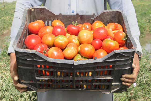 Image for article titled Bananas, shrimp, wine, and more: 10 staples that will be affected by the big U.S. port strike