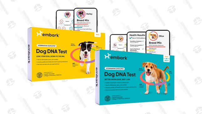  Embark Breed & Health Kit - Dog DNA Test - Discover