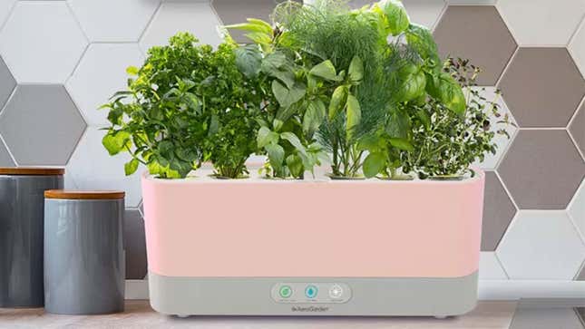 AeroGarden Harvest Slim | $130 | Macy’s
AeroGarden Harvest Slim | $130 | Amazon