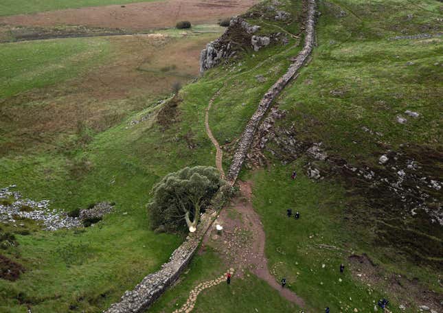 People look at the tree at Sycamore Gap, next to Hadrian&#39;s Wall, in Northumberland, England, Thursday Sept. 28, 2023 which has come down overnight. One of the UK’s most photographed trees has been “deliberately felled” in an apparent act of vandalism, authorities have said. The famous tree at Sycamore Gap, next to Hadrian’s Wall in Northumberland, was made famous when it appeared in Kevin Costner’s 1991 film Robin Hood: Prince Of Thieves. (Owen Humphreys/PA via AP)