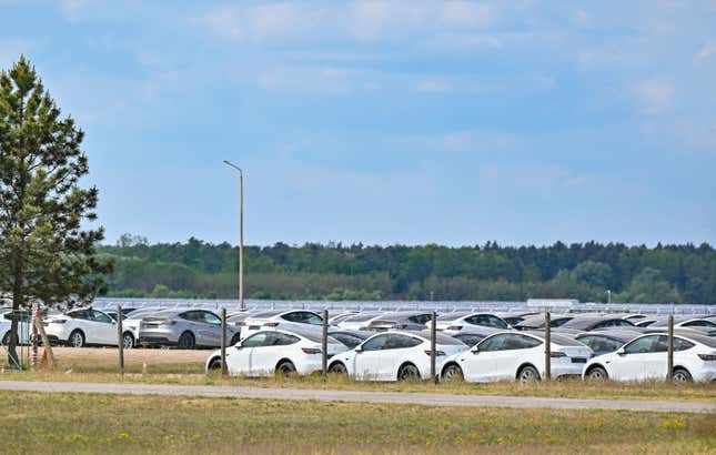 New Model Y electric vehicles are parked at the Neuhardenberg airfield on May 10, 2024. 