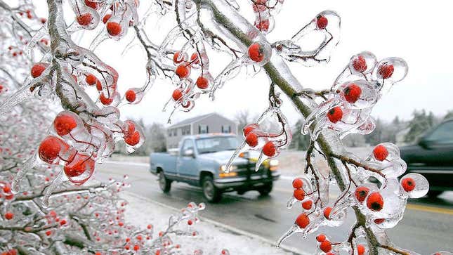 Staff photo by John Patriquin. Friday Dec.12, 2008. A thick layer of ice encrusted southern Maine as seen here along the Jenkins Rd. in Saco that made driving difficult and caused major power outages in southern Maine.