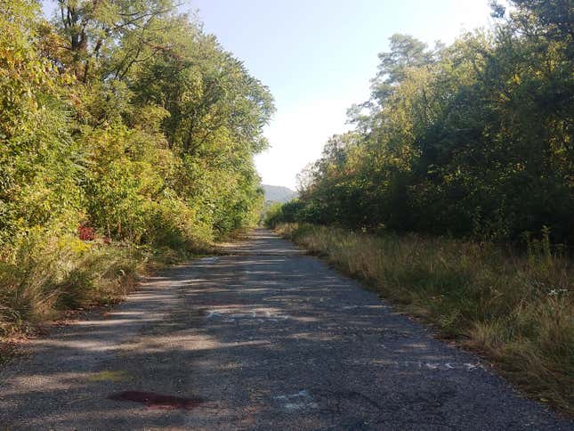 Image for article titled America’s Lost Highways Are Beautiful Monuments To Our Garbage Infrastructure