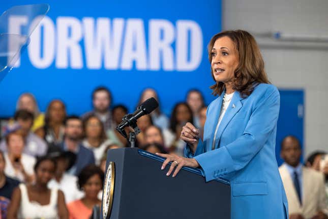 Democratic U.S. presidential candidate Vice President Kamala Harris speaks on August 16, 2024 in Raleigh, North Carolina. 