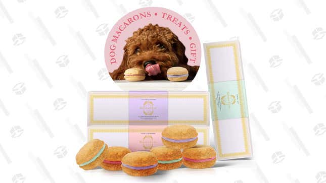 Bonne et Filou Dog Macarons | $19-22 | Amazon