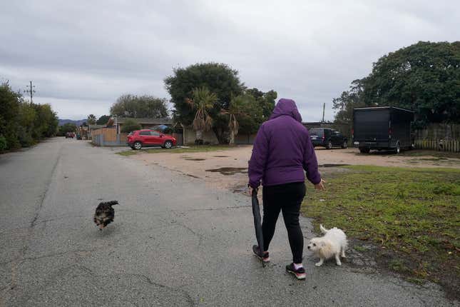 Ileana Miranda is greeted by her dogs as she walks near her San Jerardo cooperative home in Salinas, Calif., Wednesday, Dec. 20, 2023. Some California farming communities have been plagued for years by problems with their drinking water due to nitrates and other contaminants in the groundwater that feeds their wells. (AP Photo/Jeff Chiu)