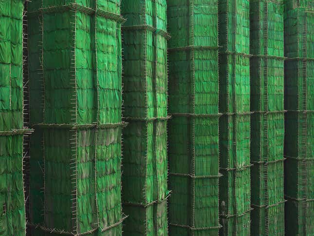 “Green Cocoon Walls, Hong Kong—2010”